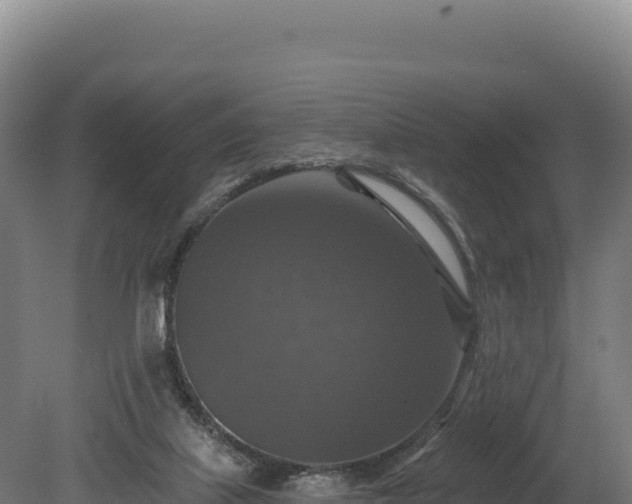 X0000080150067200612151841