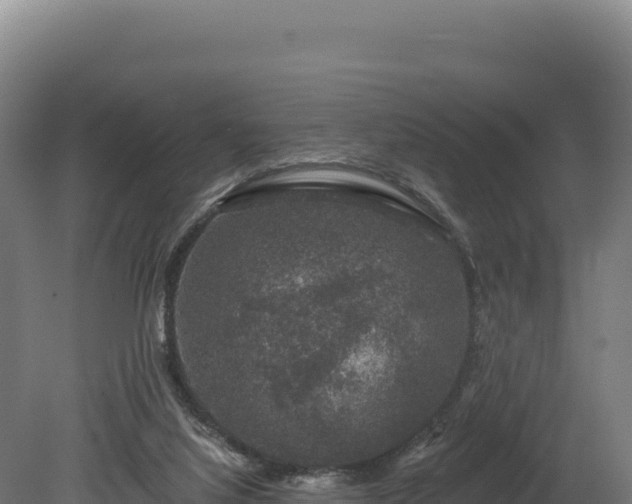 X0000080150068200612151841