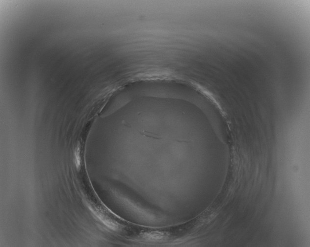 X0000080150069200612151841