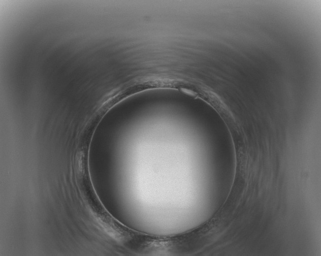 X0000080150071200612151841