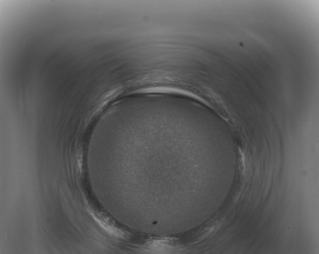 X0000080150072200612151841