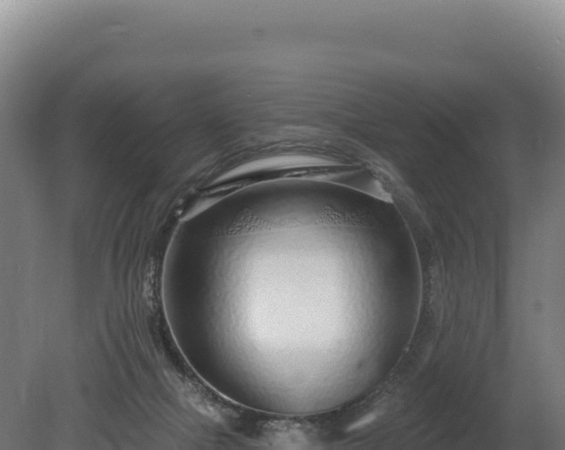 X0000080150073200612151841