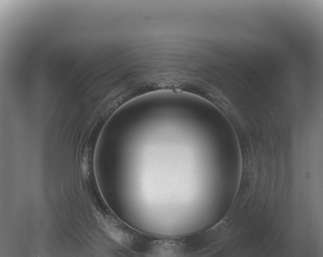 X0000080150074200612151841