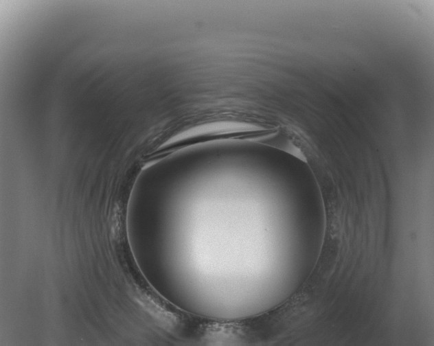 X0000080150077200612151841