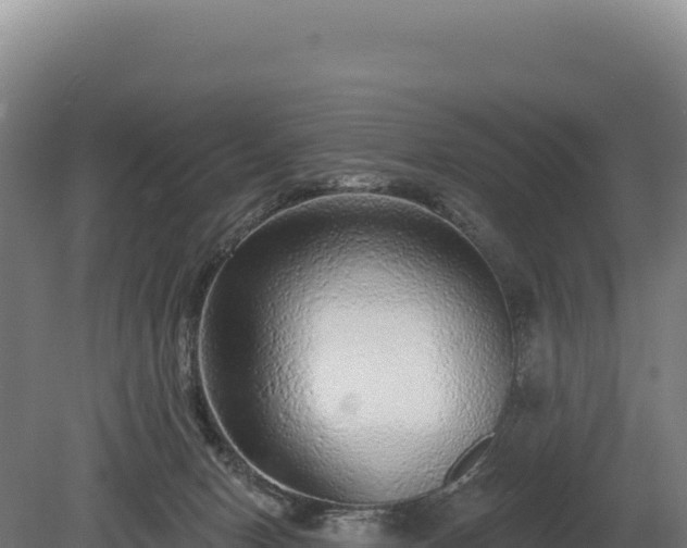 X0000080150078200612151841