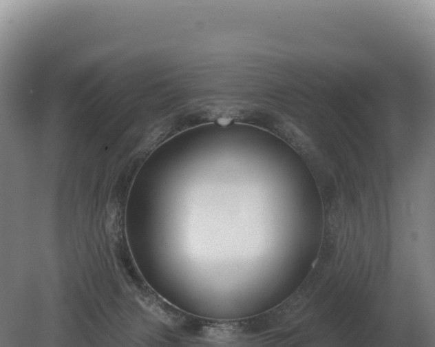 X0000080150079200612151841