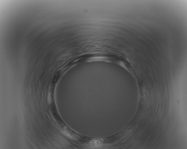 X0000080150080200612151841