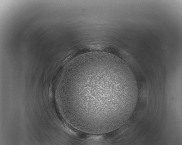 X0000080150081200612151841