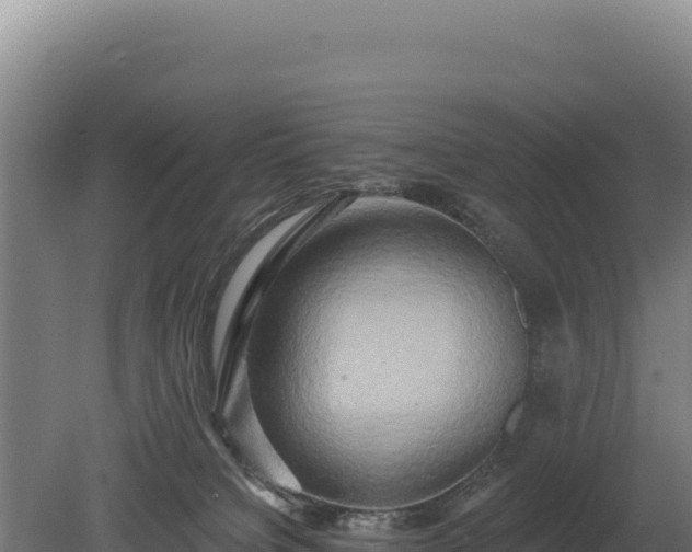 X0000080150084200612151841