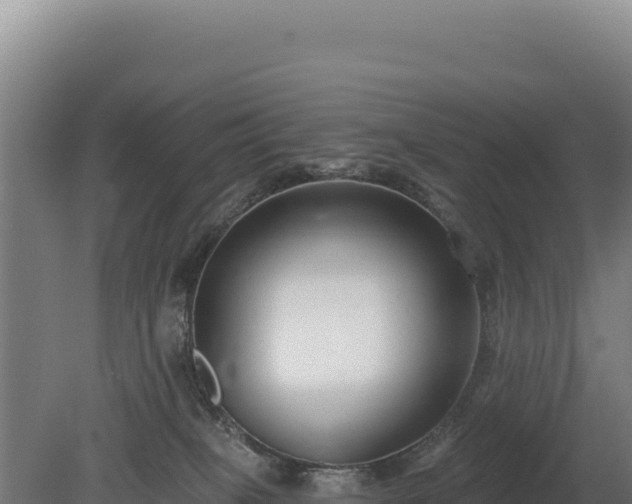 X0000080150085200612151841