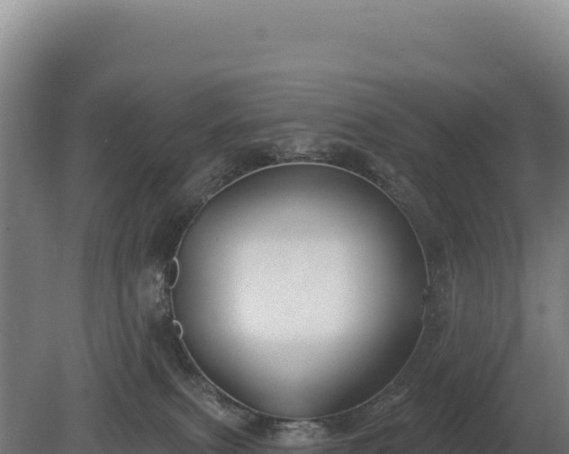 X0000080150087200612151841