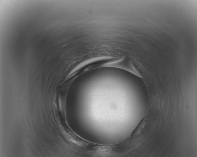 X0000080150088200612151841