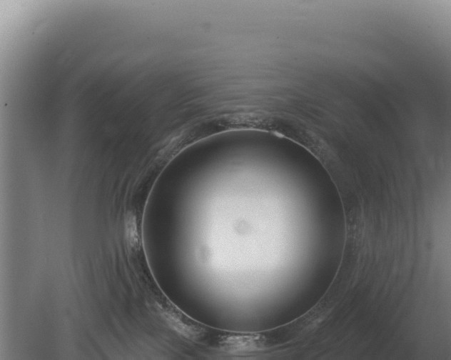 X0000080150089200612151841