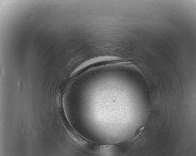 X0000080150090200612151841