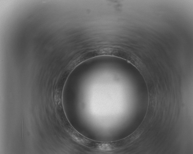 X0000080150091200612151841