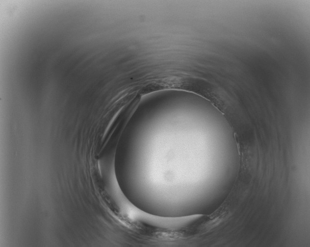 X0000080150092200612151841