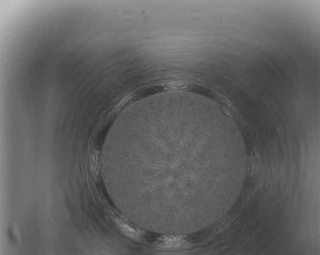 X0000080150093200612151841