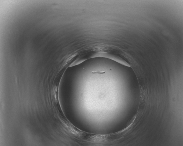 X0000080150094200612151841