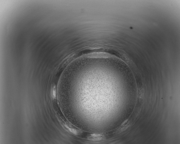 X0000080150095200612151841