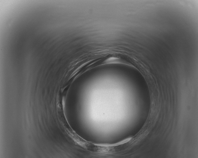 X0000080150096200612151841