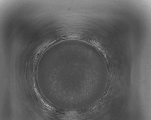 X0000080150097200612151840