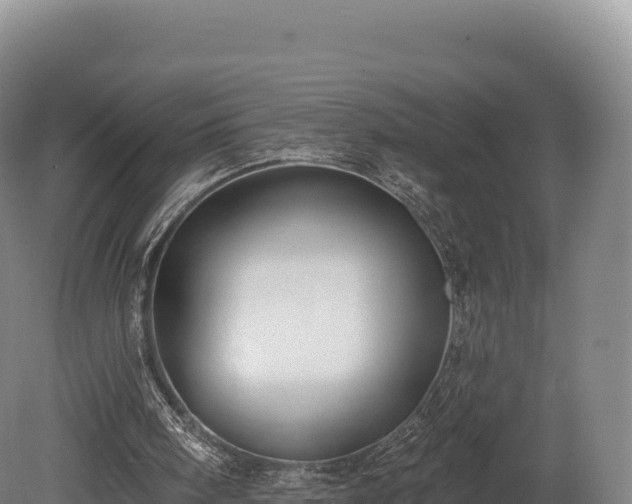 X0000080150098200612151840