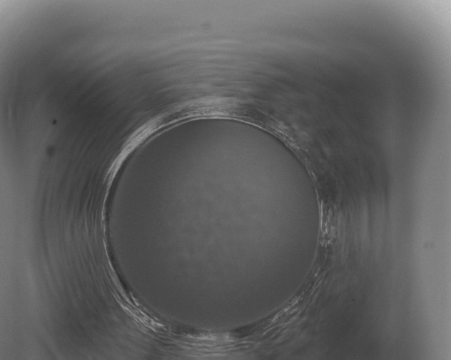 X0000080150099200612151840