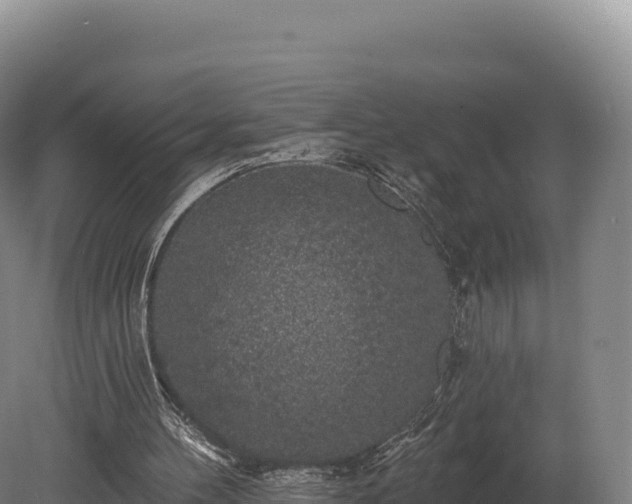 X0000080150100200612151840