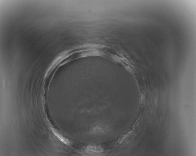 X0000080150101200612151840