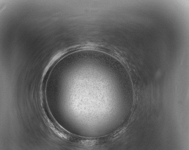 X0000080150102200612151840