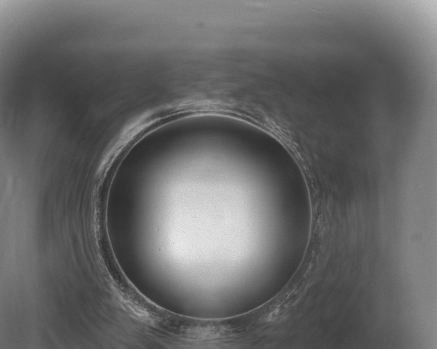 X0000080150103200612151840