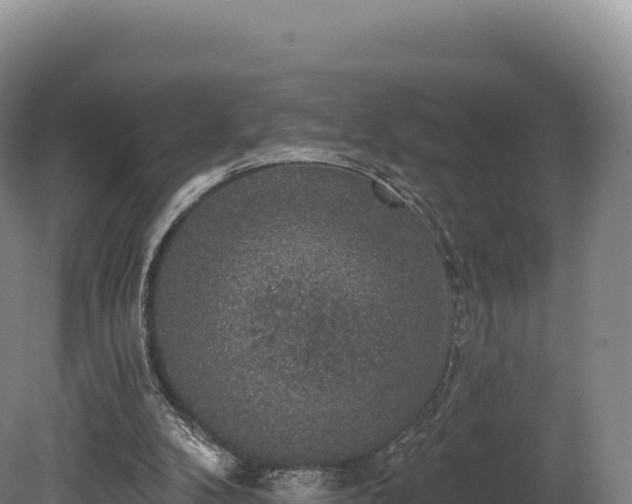 X0000080150104200612151840