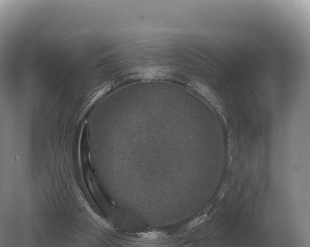 X0000080150105200612151840