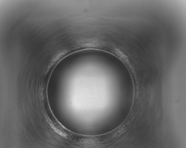 X0000080150106200612151840