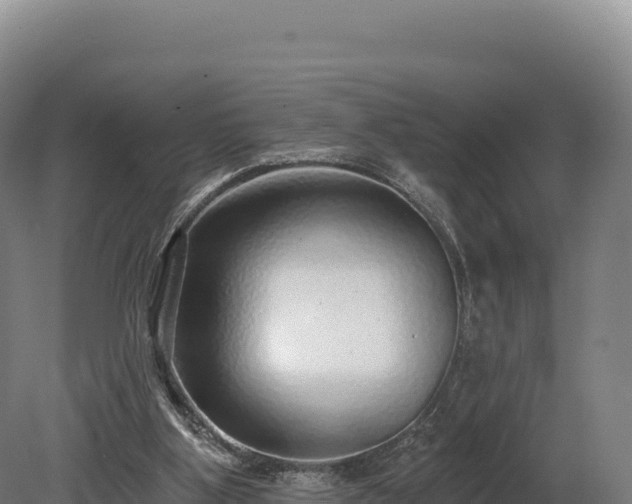 X0000080150107200612151840