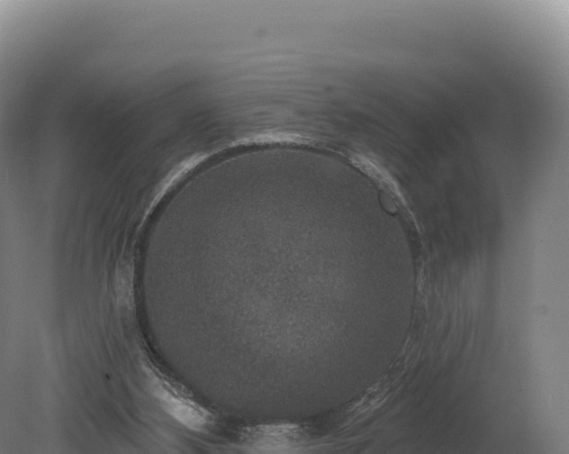 X0000080150108200612151840