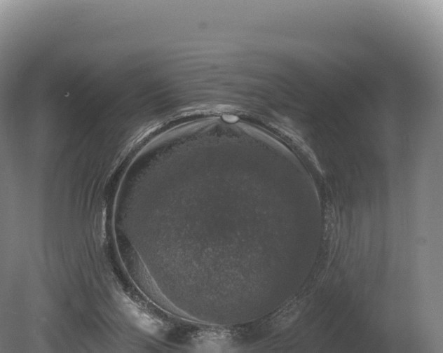 X0000080150110200612151840