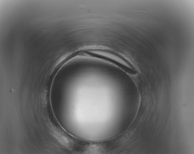 X0000080150111200612151840