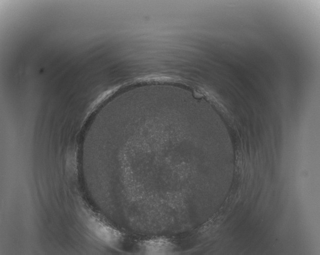 X0000080150112200612151840