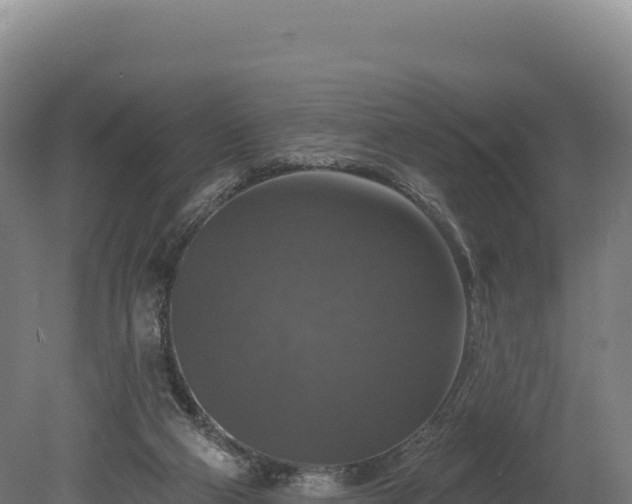 X0000080150114200612151840