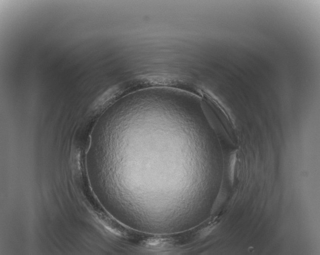 X0000080150117200612151840