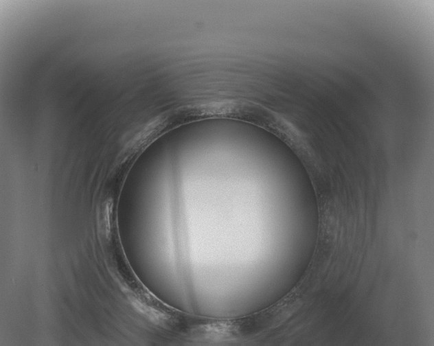 X0000080150118200612151840