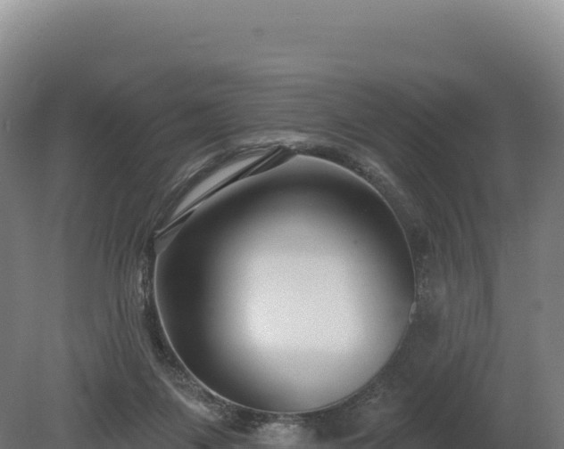 X0000080150119200612151840