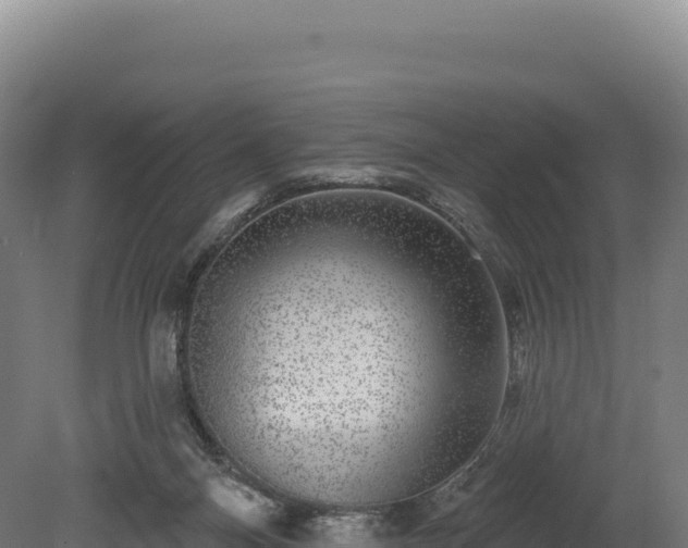 X0000080150120200612151840