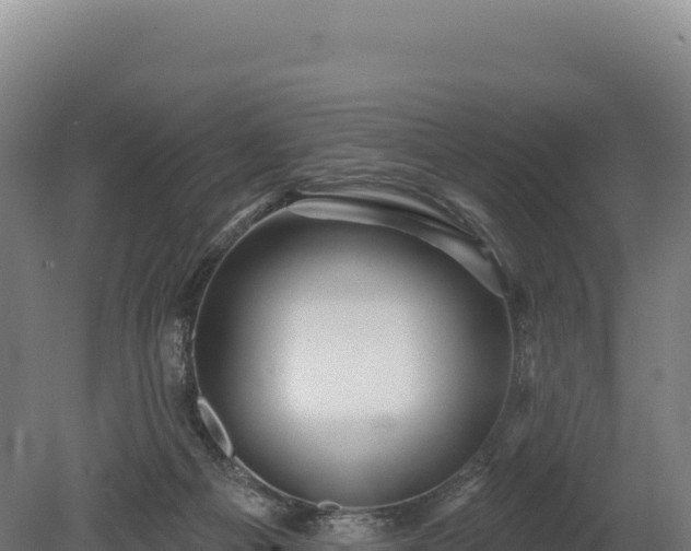 X0000080150121200612151840