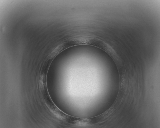 X0000080150122200612151840