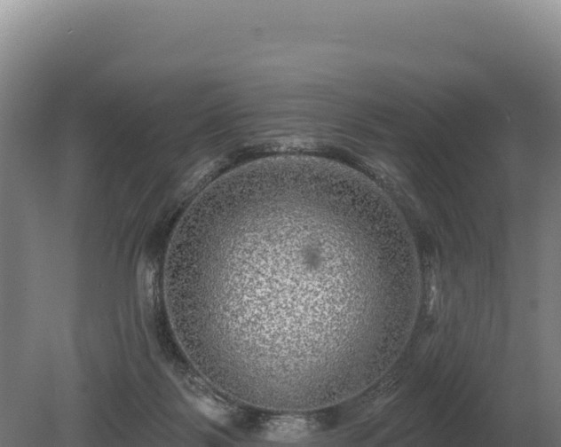 X0000080150123200612151840