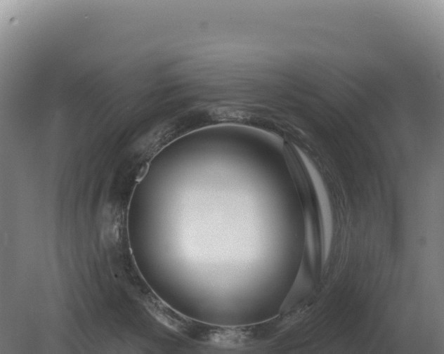 X0000080150125200612151840