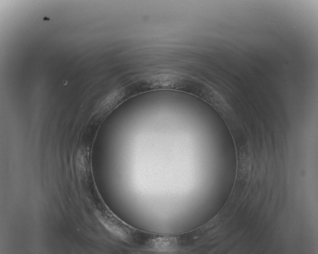 X0000080150126200612151840