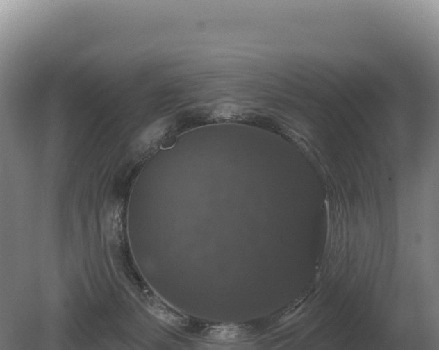 X0000080150127200612151840